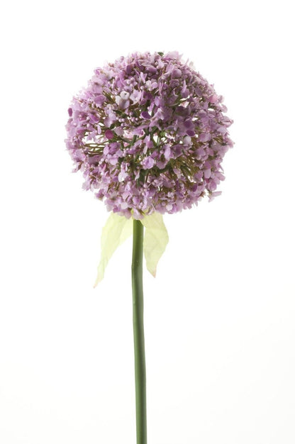 Allium Flower Paars x7 | Kunstbloemen 5 - LushLeaf | Online planten bestellen