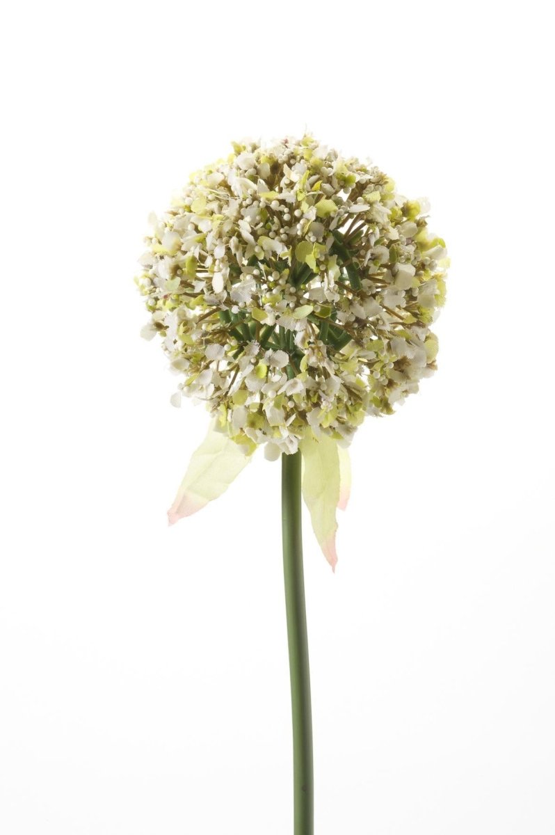 Allium Flower Wit x7 | Kunstbloemen 5 - LushLeaf | Online planten bestellen