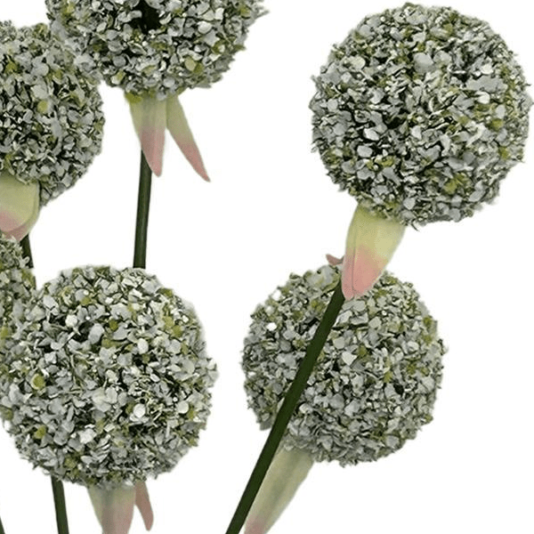 Allium Flower Wit x7 | Kunstbloemen 2 - LushLeaf | Online planten bestellen