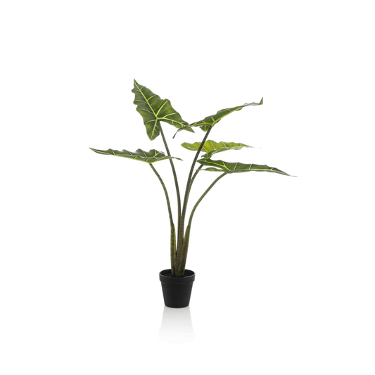 Alocasia Frydek - Olifantsoor | Kunstplant 1 - LushLeaf | Online planten bestellen