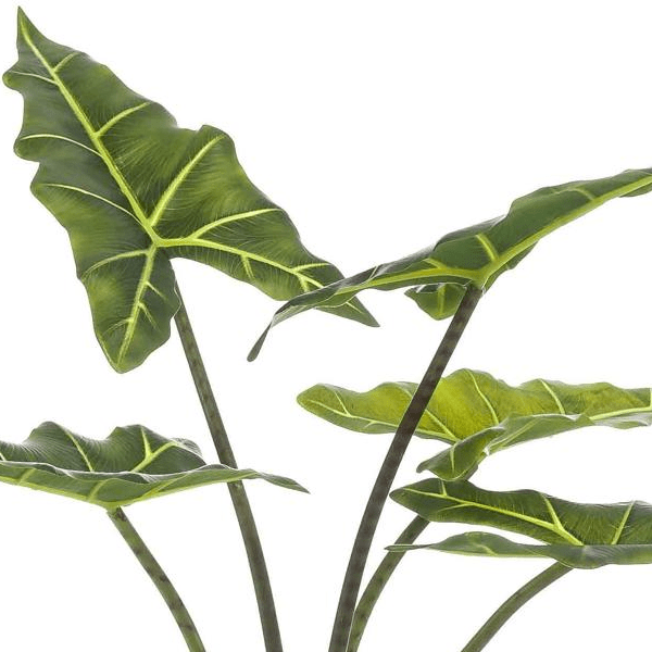 Alocasia Frydek - Olifantsoor | Kunstplant 2 - LushLeaf | Online planten bestellen