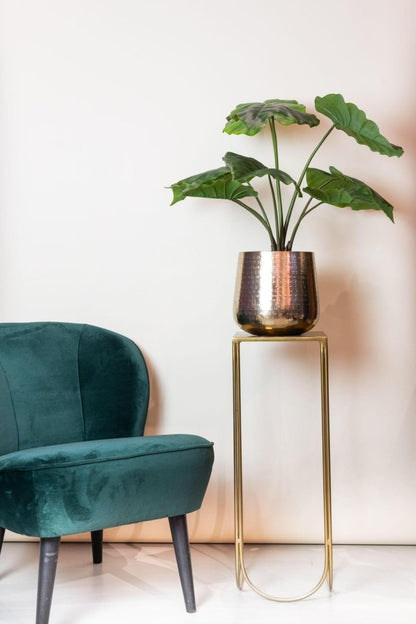 Alocasia - Olifantsoor | Kunstplant 3 - LushLeaf | Online planten bestellen