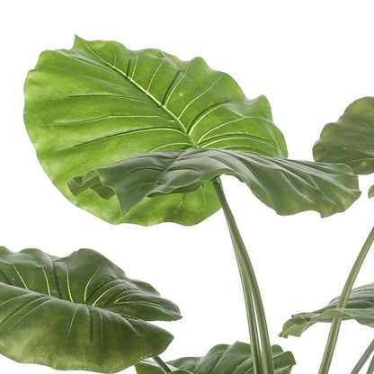 Alocasia - Olifantsoor | Kunstplant 2 - LushLeaf | Online planten bestellen