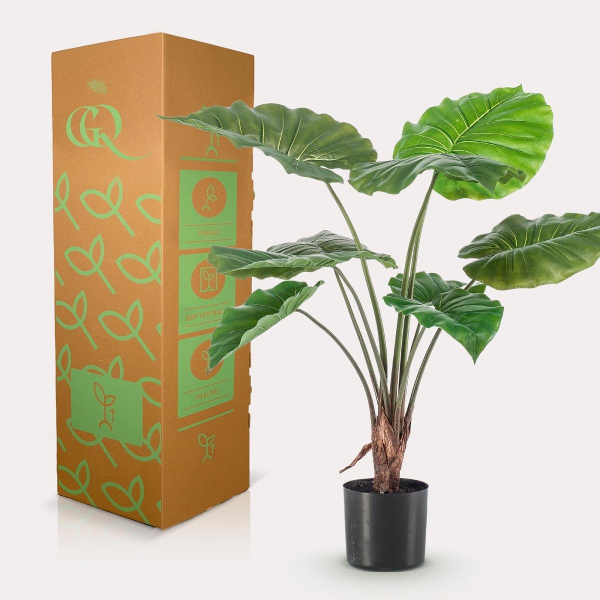 Alocasia - Olifantsoor | Kunstplant 4 - LushLeaf | Online planten bestellen