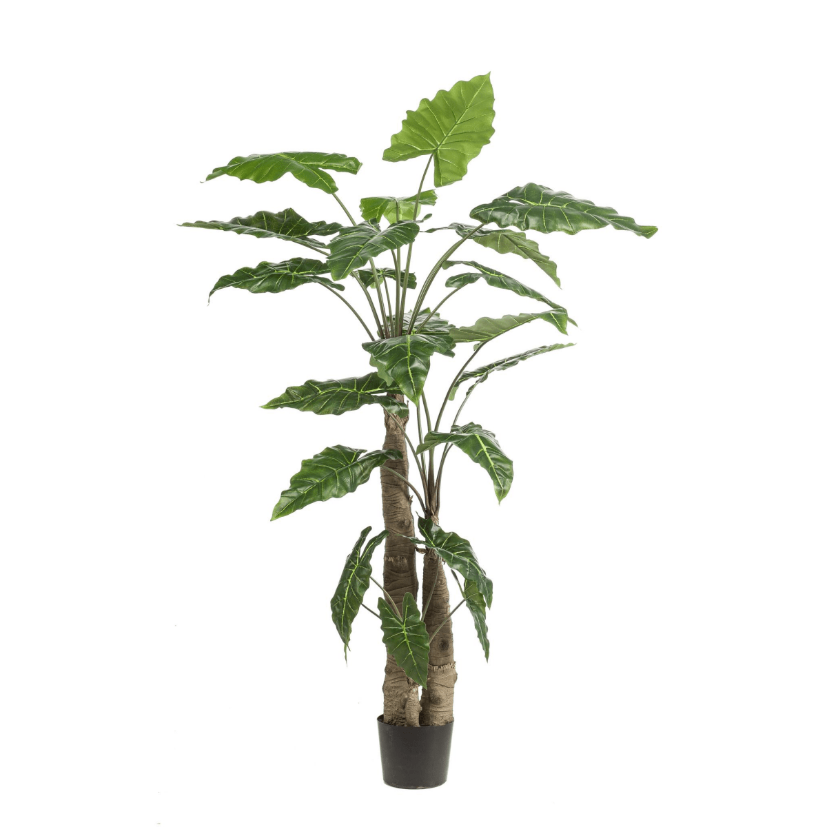 Alocasia - Olifantsoor | Kunstplant 7 - LushLeaf | Online planten bestellen