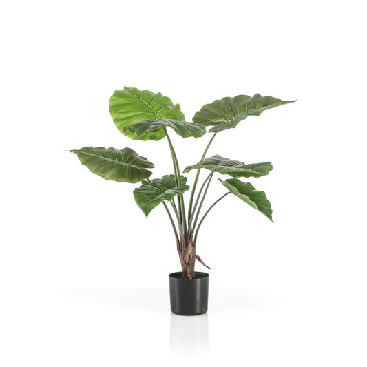 Alocasia - Olifantsoor | Kunstplant 1 - LushLeaf | Online planten bestellen