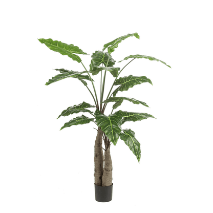 Alocasia - Olifantsoor | Kunstplant 6 - LushLeaf | Online planten bestellen