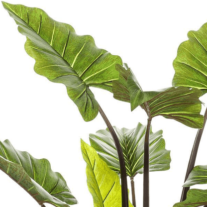 Alocasia Pink China - Olifantsoor | Kunstplant 2 - LushLeaf | Online planten bestellen