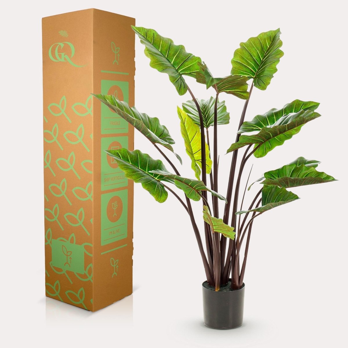 Alocasia Pink China - Olifantsoor | Kunstplant 3 - LushLeaf | Online planten bestellen