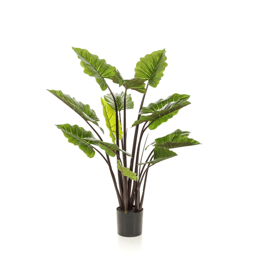 Alocasia Pink China - Olifantsoor | Kunstplant 1 - LushLeaf | Online planten bestellen