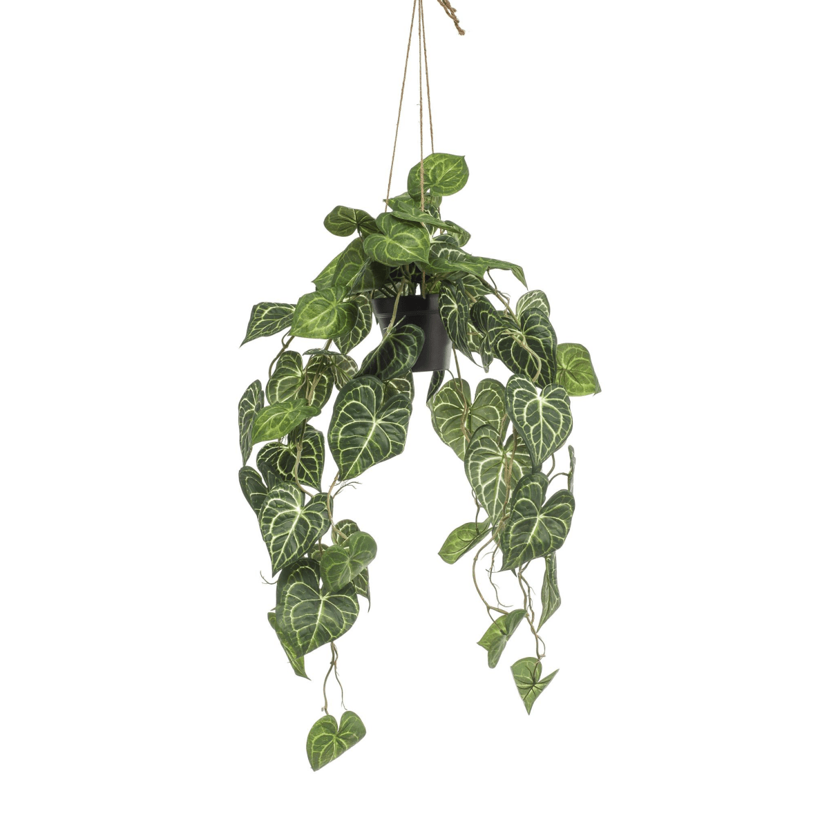 Anthurium Clarinervium - Aderplant | Kunstplant 1 - LushLeaf | Online planten bestellen