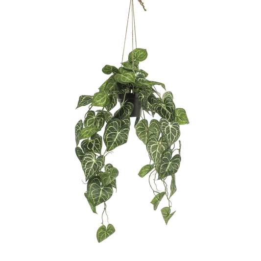 Anthurium Clarinervium - Aderplant | Kunstplant 1 - LushLeaf | Online planten bestellen