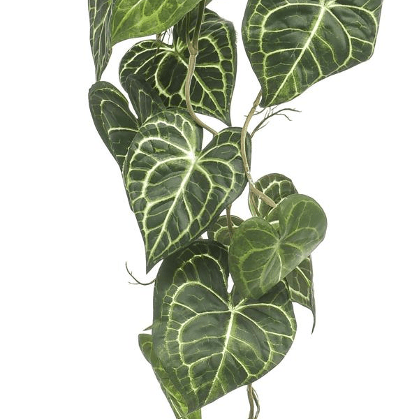 Anthurium Clarinervium - Aderplant | Kunstplant 2 - LushLeaf | Online planten bestellen