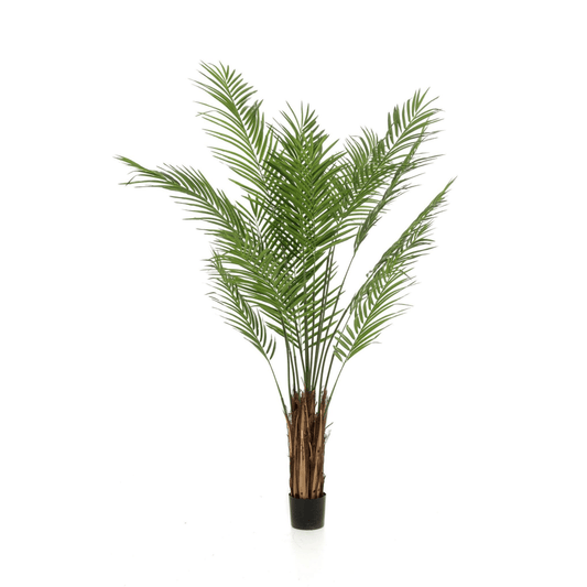 Areca Lutescens - Goudpalm | Kunstplant 1 - LushLeaf | Online planten bestellen