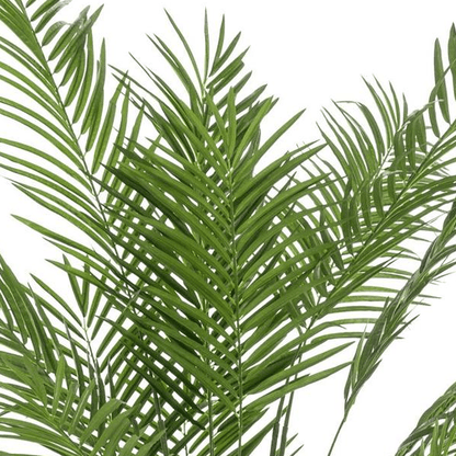 Areca Lutescens - Goudpalm | Kunstplant 2 - LushLeaf | Online planten bestellen