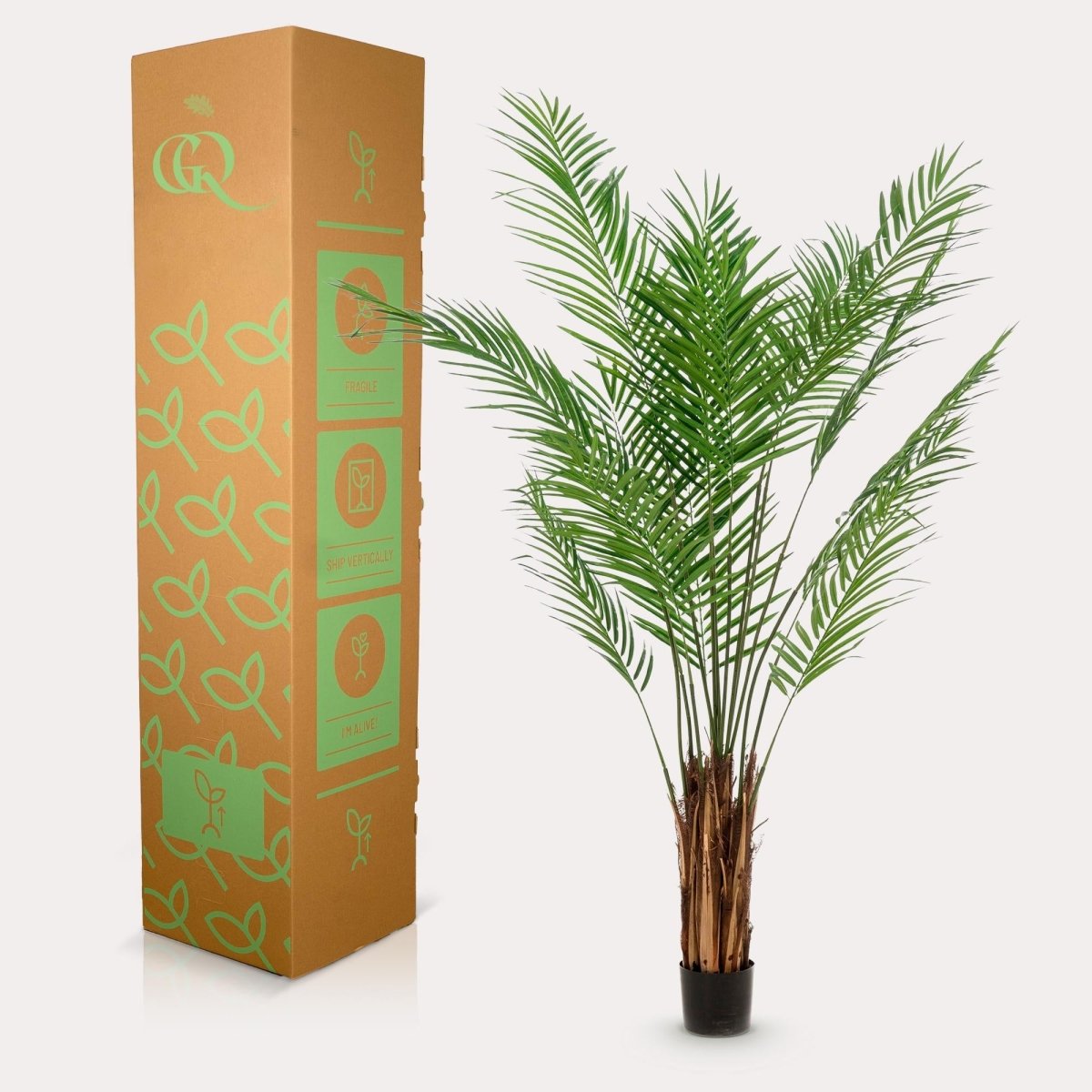 Areca Lutescens - Goudpalm | Kunstplant 3 - LushLeaf | Online planten bestellen