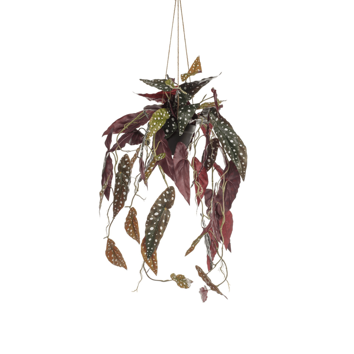 Begonia Maculata - Stippenbegonia | Kunstplant 1 - LushLeaf | Online planten bestellen