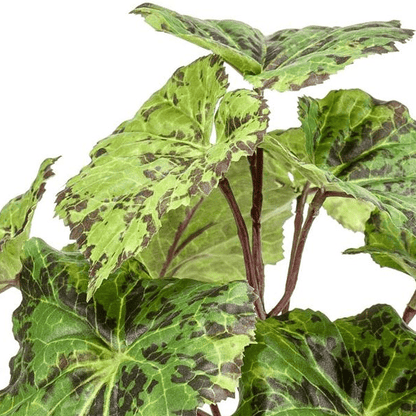 Begonia Rex - Bladbegonia | Kunstplant 2 - LushLeaf | Online planten bestellen