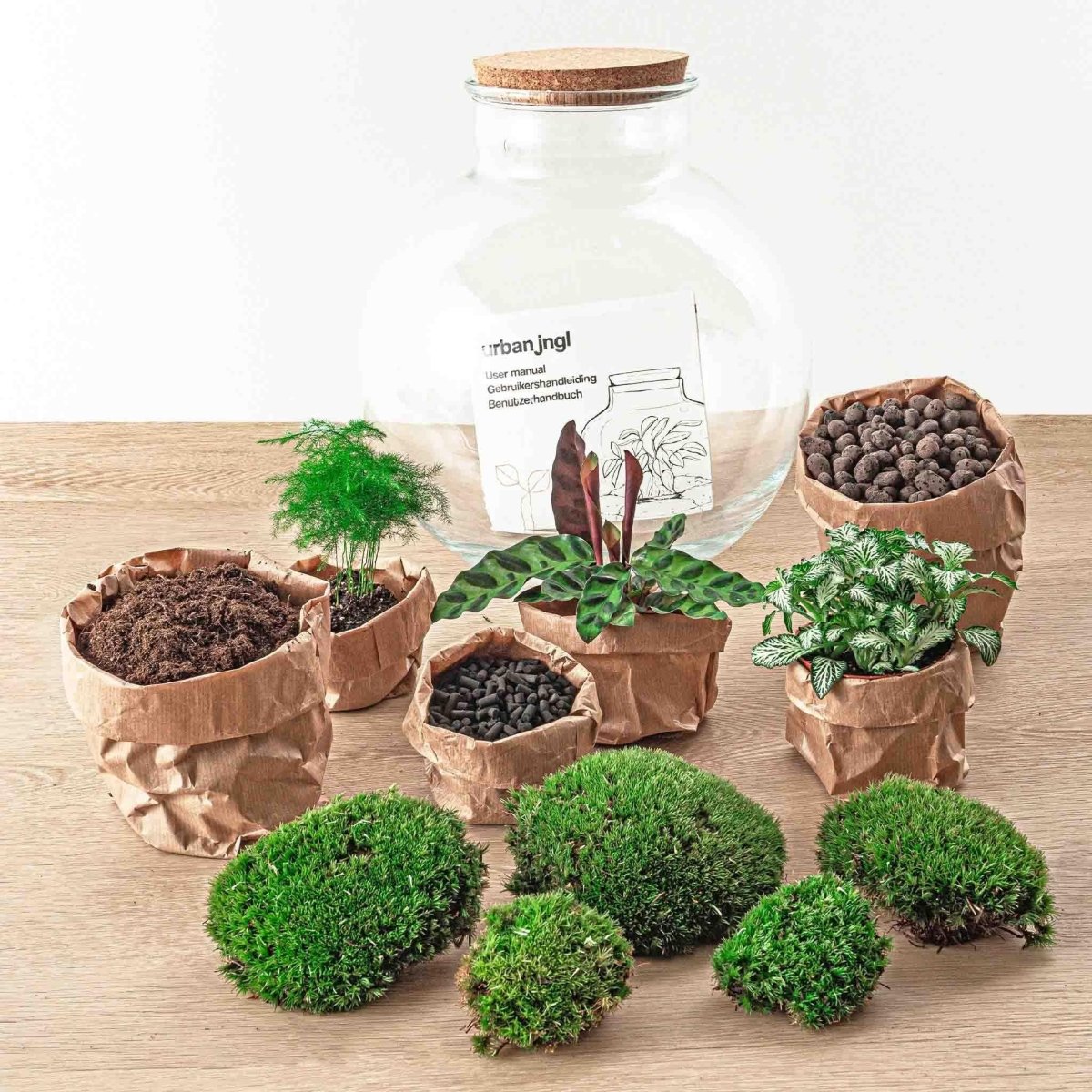 Bolder Bob | DIY terrarium 2 - LushLeaf | Online planten bestellen