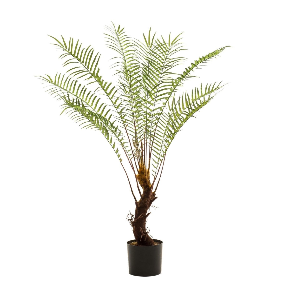 Boomvaren | Kunstplant 1 - LushLeaf | Online planten bestellen