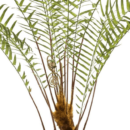 Boomvaren | Kunstplant 2 - LushLeaf | Online planten bestellen