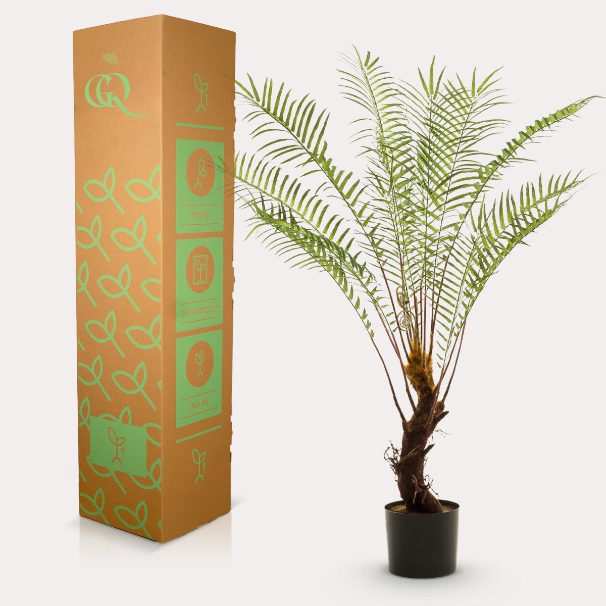 Boomvaren | Kunstplant 3 - LushLeaf | Online planten bestellen