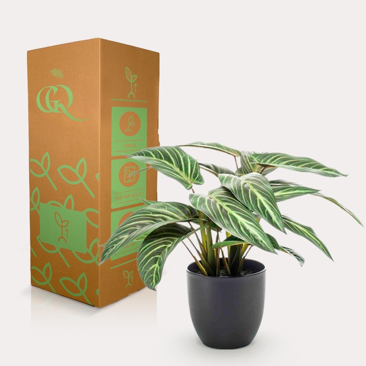 Calathea Zebrina - Schaduwplant | Kunstplant 4 - LushLeaf | Online planten bestellen