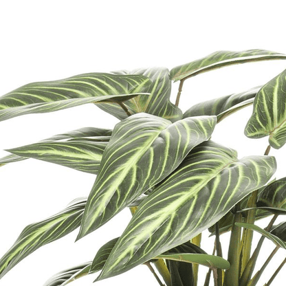 Calathea Zebrina - Schaduwplant | Kunstplant 2 - LushLeaf | Online planten bestellen