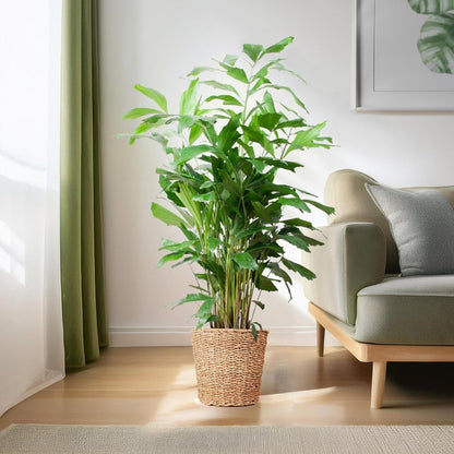 Caryota Mitis XL met Torun mand naturel 3 - LushLeaf | Online planten bestellen