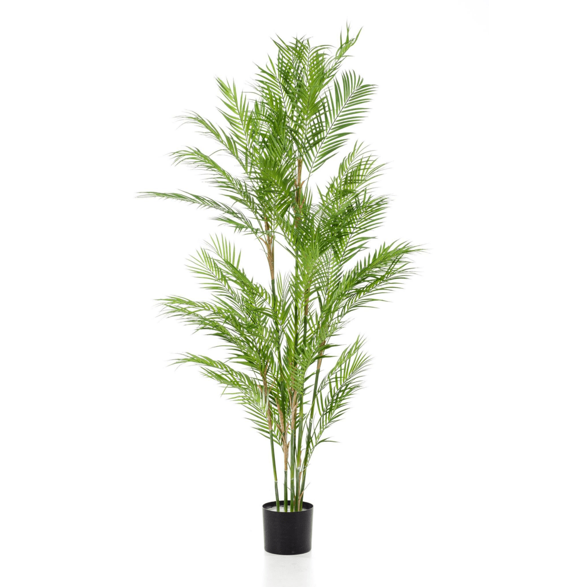 Chamaedorea - Bergpalm | Kunstplant 7 - LushLeaf | Online planten bestellen