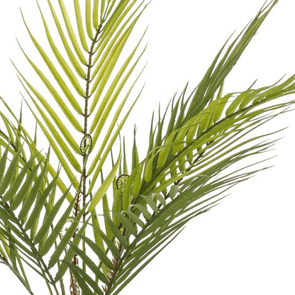 Chamaedorea - Bergpalm | Kunstplant 2 - LushLeaf | Online planten bestellen