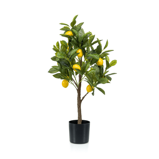 Citrus Limonia - Citroenboom | Kunstplant 1 - LushLeaf | Online planten bestellen