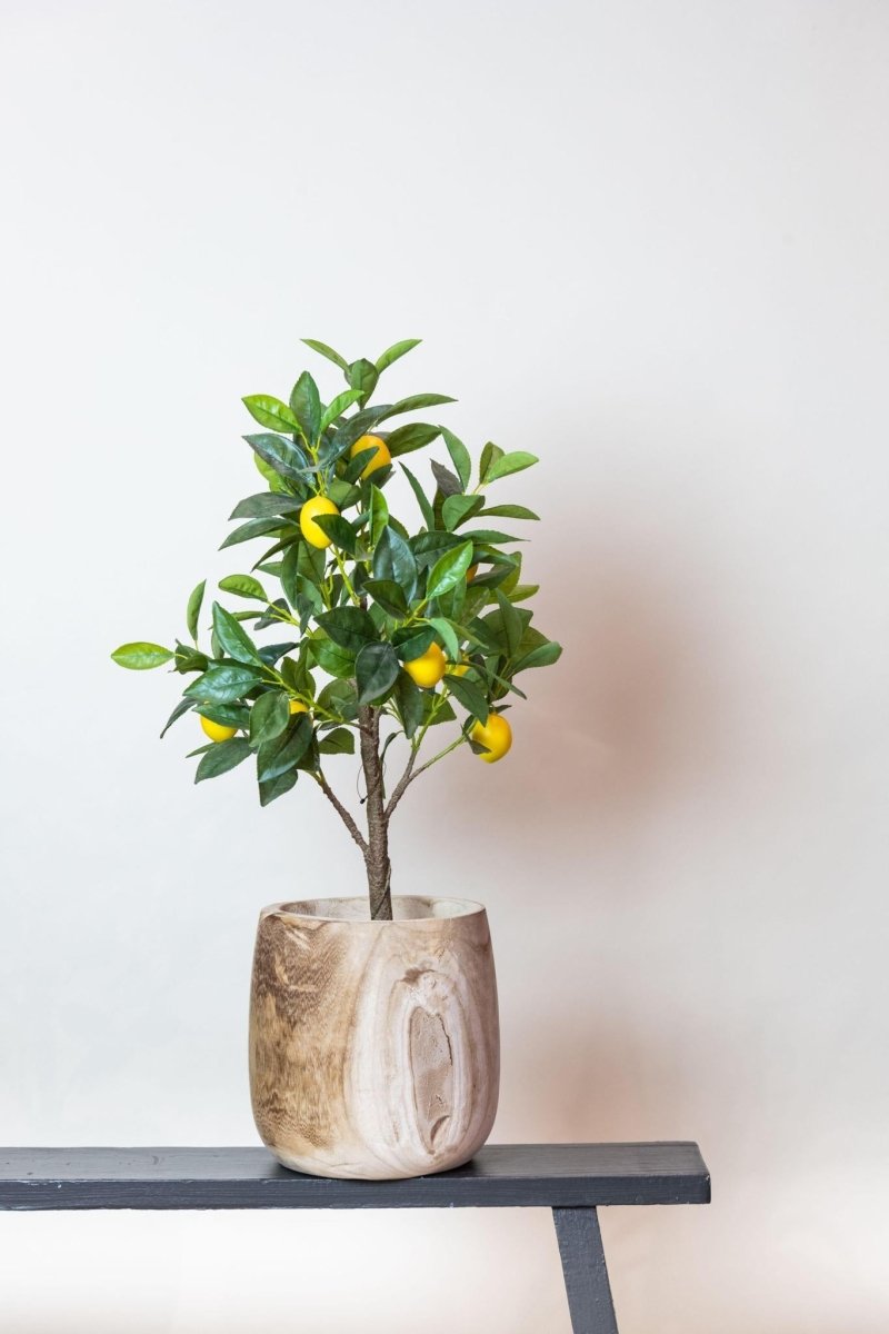 Citrus Limonia - Citroenboom | Kunstplant 3 - LushLeaf | Online planten bestellen