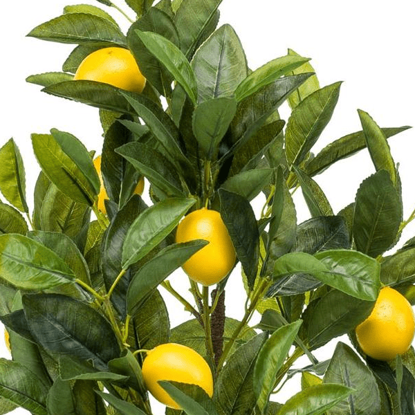 Citrus Limonia - Citroenboom | Kunstplant 2 - LushLeaf | Online planten bestellen