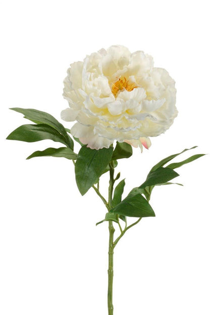 Crème Peonies x5 | Kunstbloemen 5 - LushLeaf | Online planten bestellen