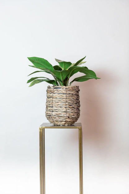 Croton Codiaeum - Wonderstruik | Kunstplant 3 - LushLeaf | Online planten bestellen