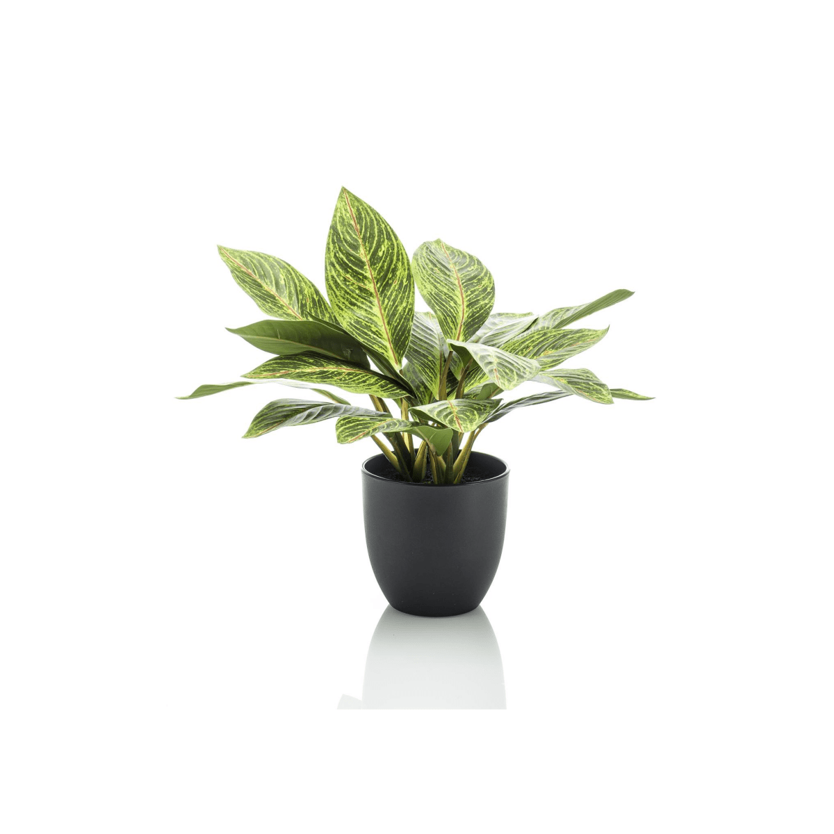 Croton Codiaeum - Wonderstruik | Kunstplant 1 - LushLeaf | Online planten bestellen