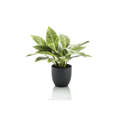 Croton Codiaeum - Wonderstruik | Kunstplant 1 - LushLeaf | Online planten bestellen