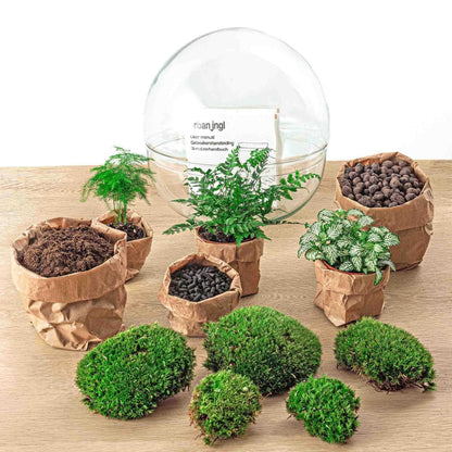 Dome | DIY terrarium 2 - LushLeaf | Online planten bestellen