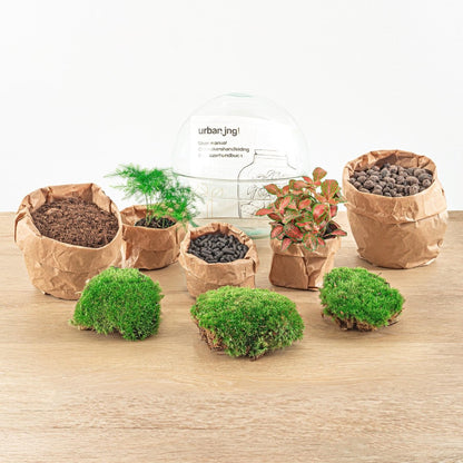 Dome Red | DIY terrarium 2 - LushLeaf | Online planten bestellen