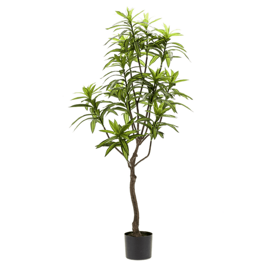 Dracaena - Drakenbloedboom | Kunstplant 1 - LushLeaf | Online planten bestellen