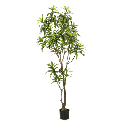Dracaena - Drakenbloedboom | Kunstplant 6 - LushLeaf | Online planten bestellen