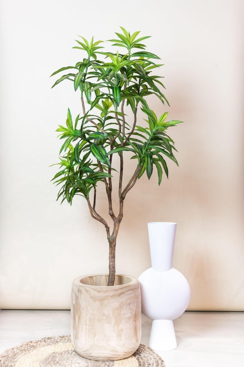 Dracaena - Drakenbloedboom | Kunstplant 3 - LushLeaf | Online planten bestellen
