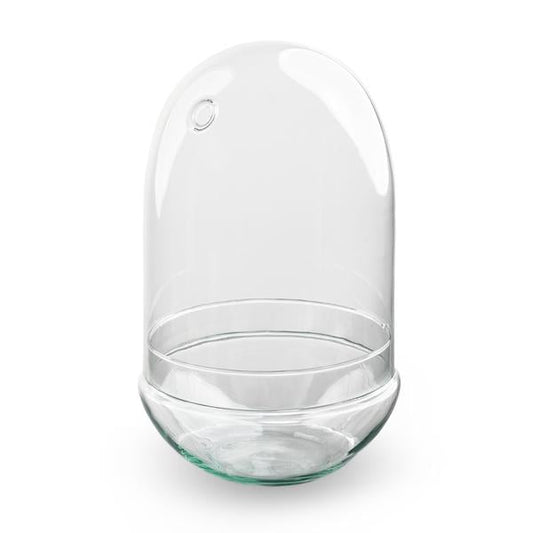 Egg XL | Terrarium los 1 - LushLeaf | Online planten bestellen