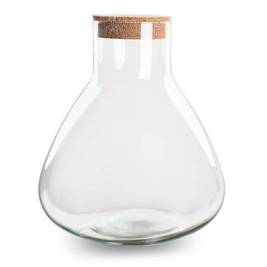 Erlenmeyer XL | Terrarium los 1 - LushLeaf | Online planten bestellen