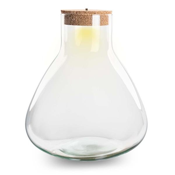 Erlenmeyer XL | Terrarium los met LED licht 1 - LushLeaf | Online planten bestellen