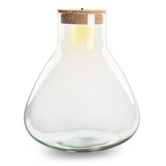 Erlenmeyer XL | Terrarium los met LED licht 1 - LushLeaf | Online planten bestellen