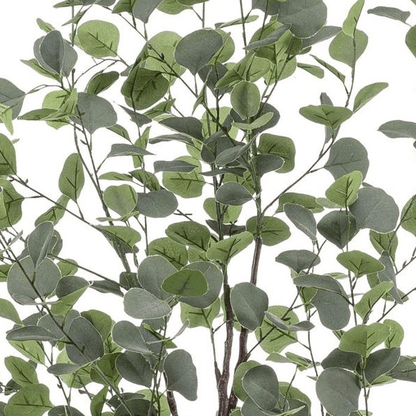 Eucalyptus - Blauwe Gomboom | Kunstplant 2 - LushLeaf | Online planten bestellen