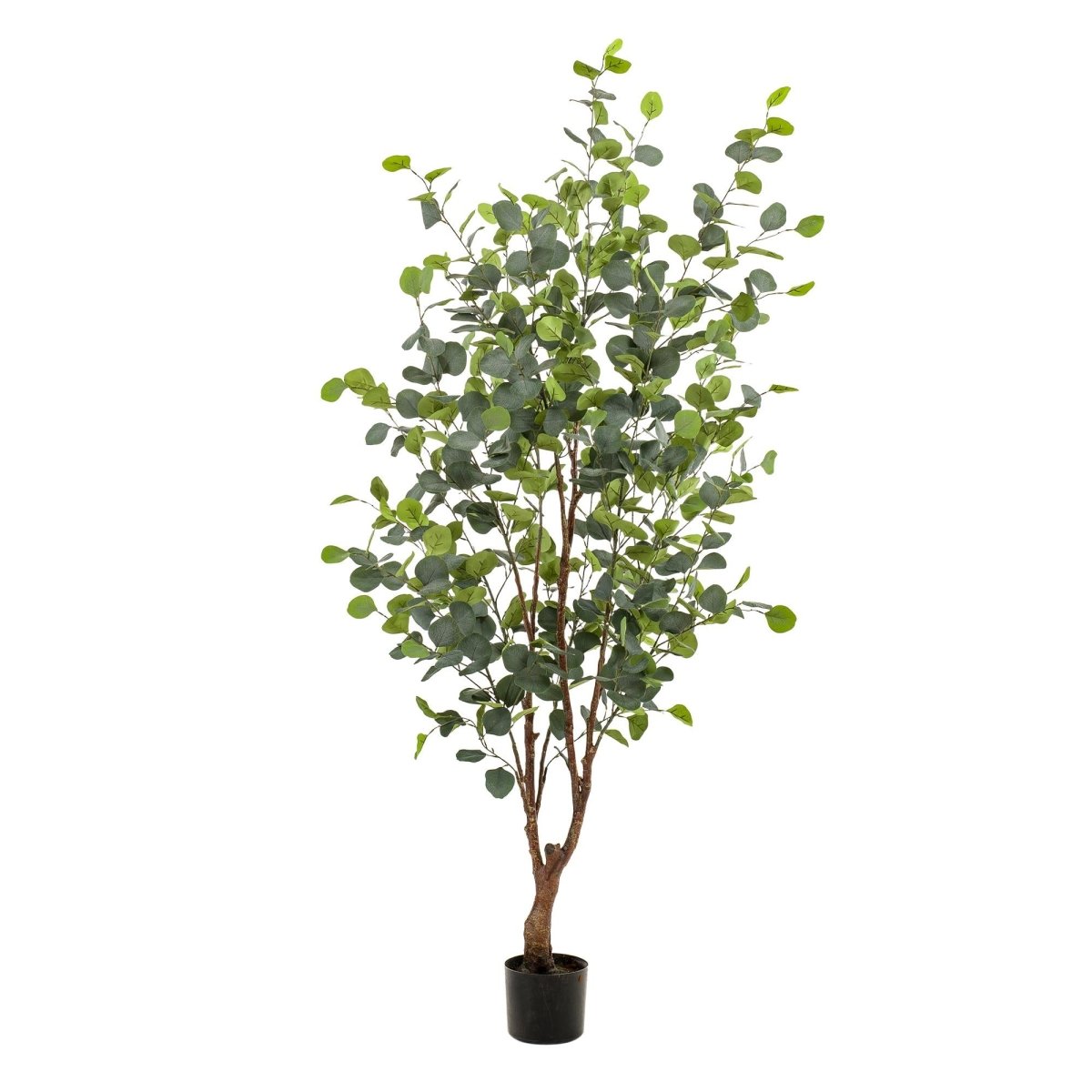Eucalyptus - Blauwe Gomboom | Kunstplant 5 - LushLeaf | Online planten bestellen