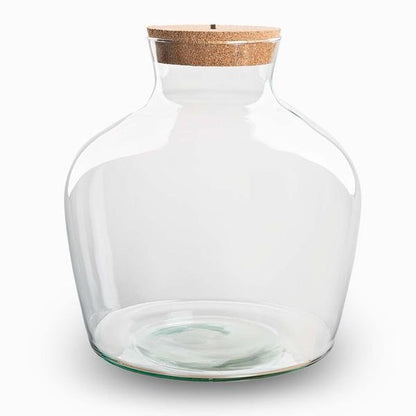 Fat Joe | Terrarium los met LED licht 2 - LushLeaf | Online planten bestellen